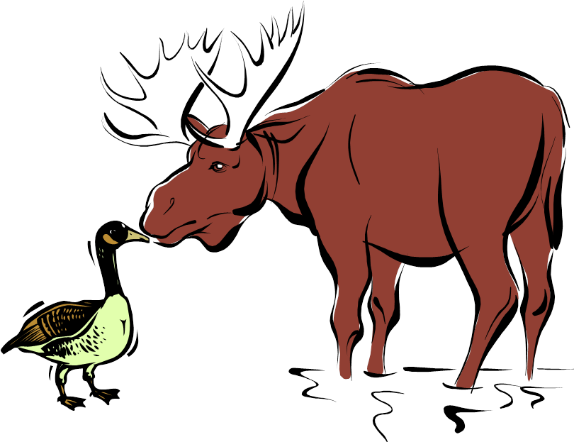 Goose Kissing A Moose - Goose Kissing A Moose Clip Art (814x630)