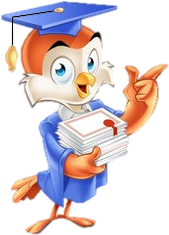 Or University Which Is Qualified As An Educational - Scholarship Owl (417x617)