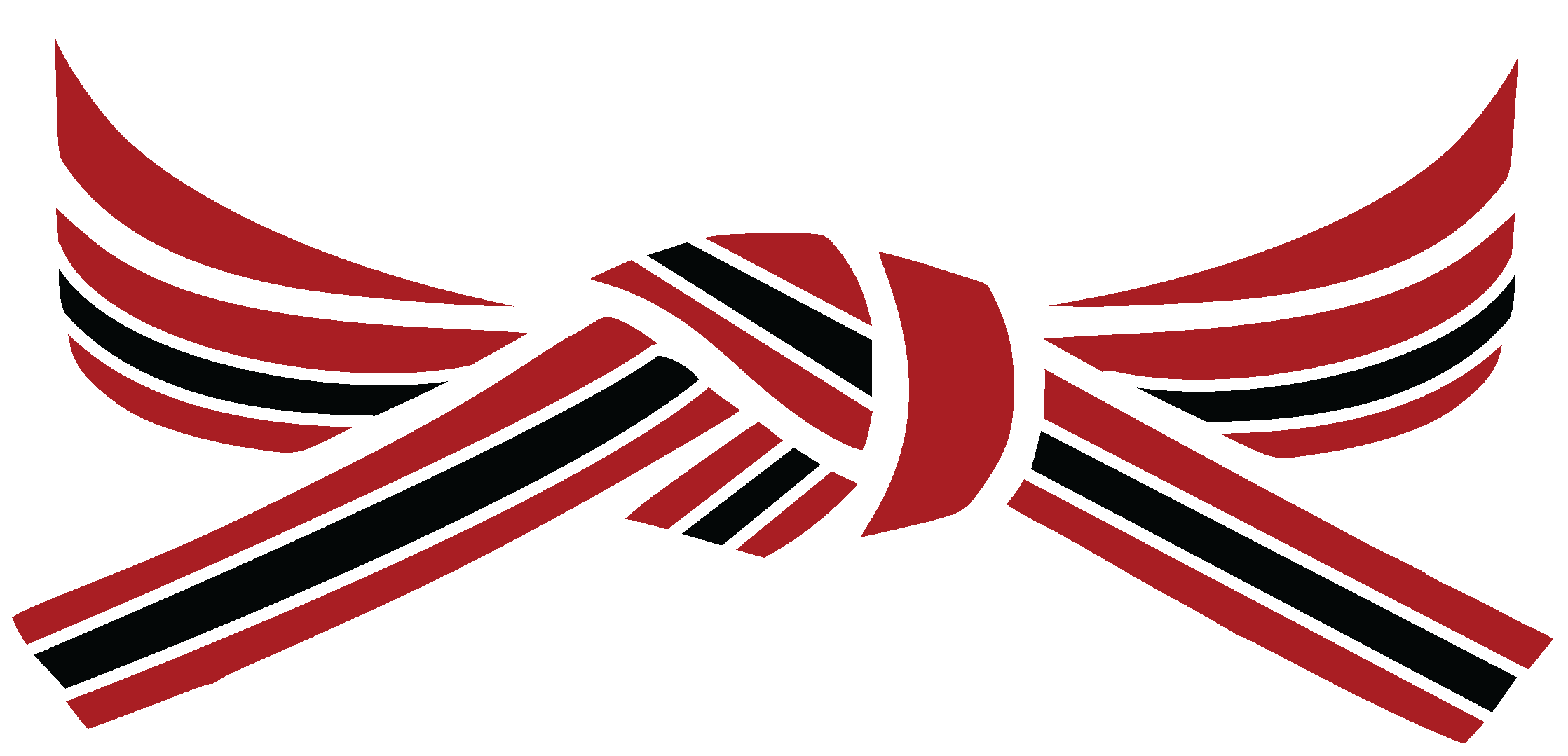 He Has Optimized His Perception, Reaction And Speed - Taekwondo Belt Png (2237x1079)