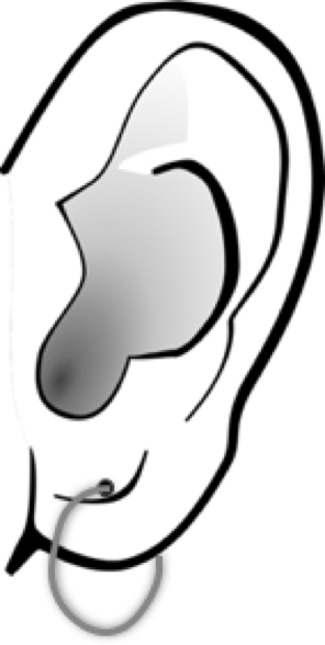 Grabbable 2 Of - Ear (296x588)