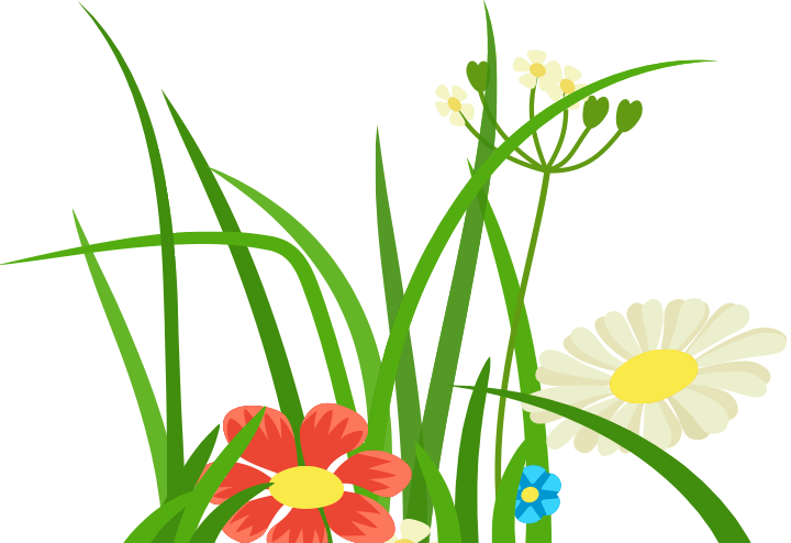 We No Longer Live In West Seattle, But Still Come To - We No Longer Live In West Seattle, But Still Come To (720x494)