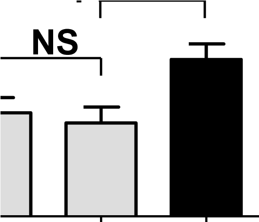 Decrease In Total Plasma Cholesterol Compared To Wd, - Decrease In Total Plasma Cholesterol Compared To Wd, (537x456)