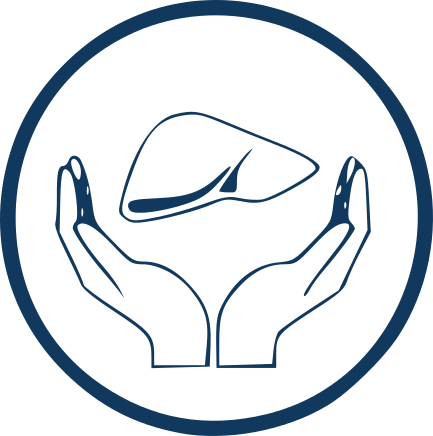 Last Week A Prospective Study Demonstrating The Ability - Liver Protection Icon (433x436)