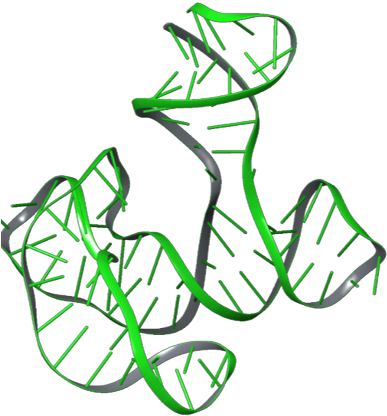 The 3 Hbv Surface-antigen Known Aptamers, As Predicted - Aptamer 3d Structure (394x439)