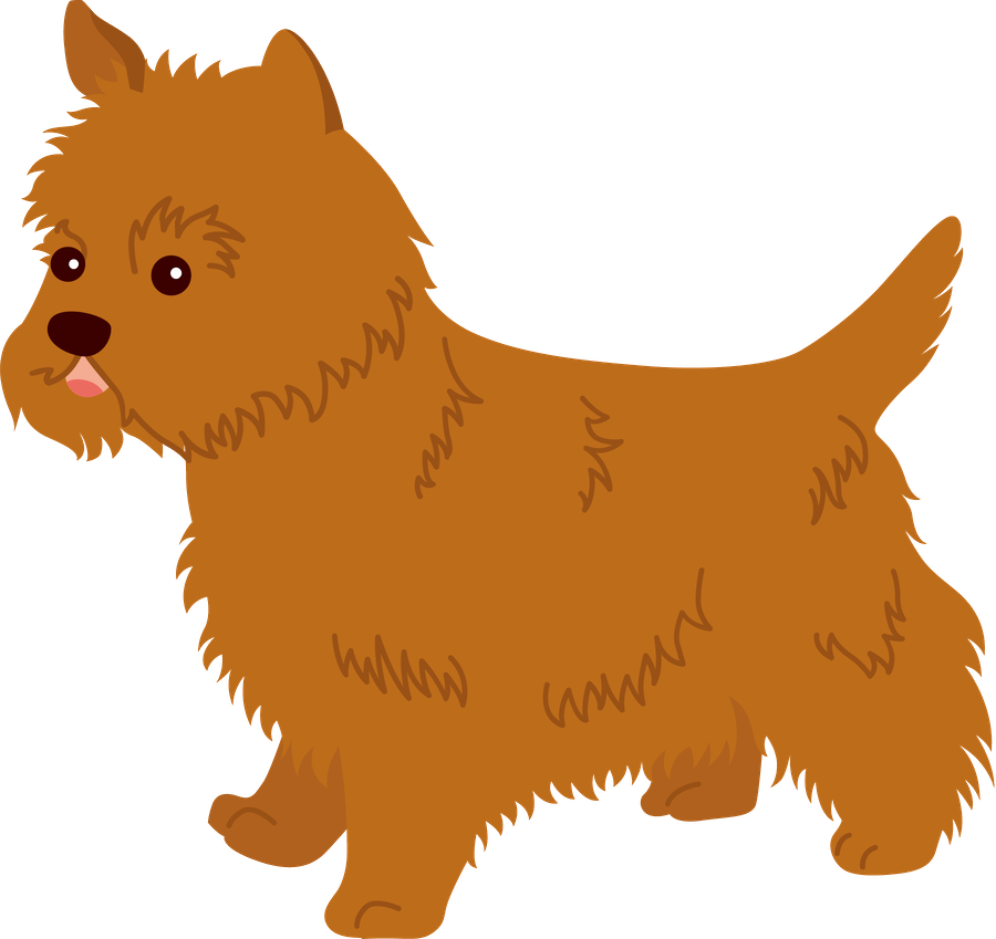 O Mágico De Oz - O Mágico De Oz (900x849)