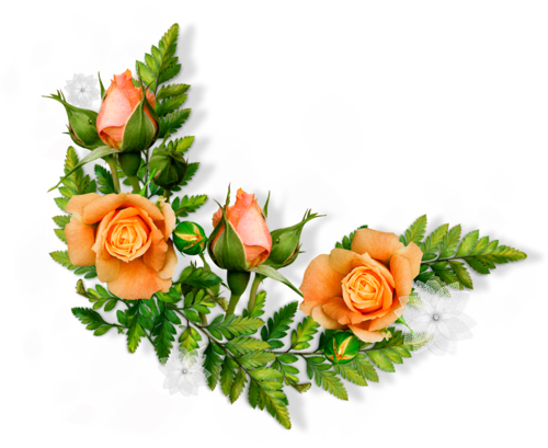 Vector Design, Wedding Scrapbook, Flower Backgrounds, - Ozdobniki Do Tekstu Kwiaty (500x409)