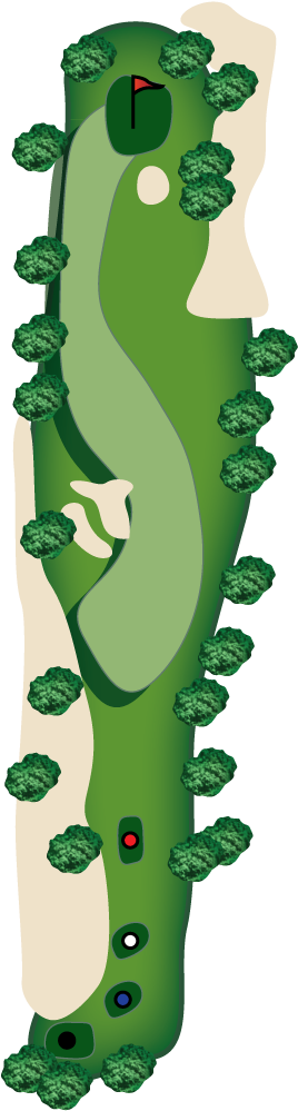 There Are Bunkers Guarding The Left Side Of The Fairway - There Are Bunkers Guarding The Left Side Of The Fairway (300x1023)