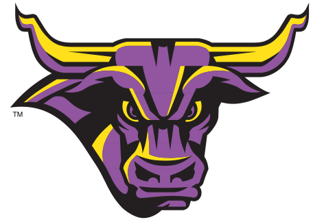 Minnesota State Mavericks Logo (500x500)
