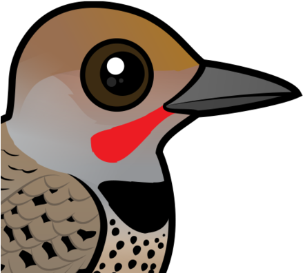 The Gilded Flicker Is A Medium-sized Species Of Woodpecker - Northern Flicker (red-shafted) Keychain, Adult Unisex, (440x440)