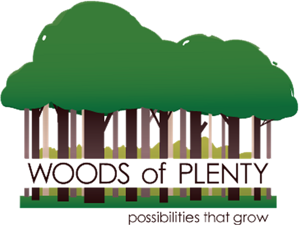 Woods Of Plenty Designs And Implements Custom Plantings - Clip Art (968x731)