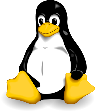 Photo Of Richard Stallman, The Logo Of The Free Software - Photo Of Richard Stallman, The Logo Of The Free Software (335x394)