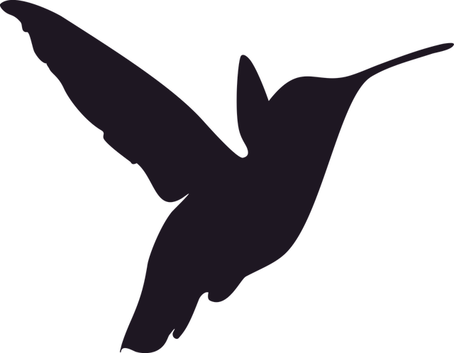 Free Image On Pixabay Bird Pinterest - Hummingbird Stencil (640x498)
