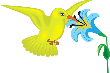 Clip Art Library Library Download Wallpaper Free Full - Clipart Of Hummingbirds And Flowers (450x300)
