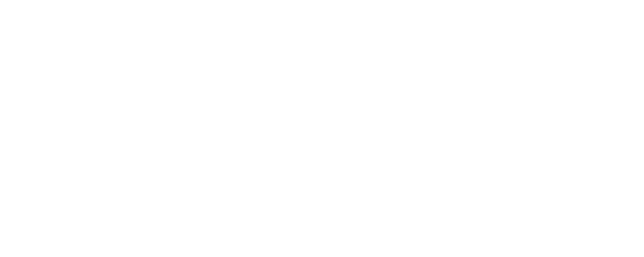 Mojotone Pickups Logo (577x270)