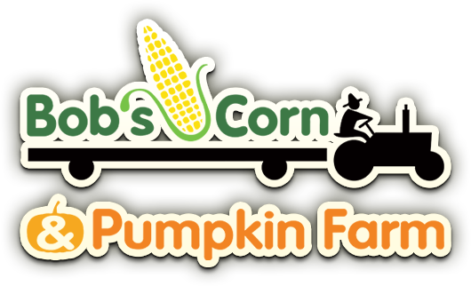 Corn Maze - Corn Maze (530x322)