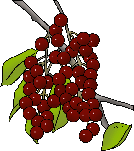 State Fruit Of North Dakota - Visual Software Systems Ltd. (588x648)