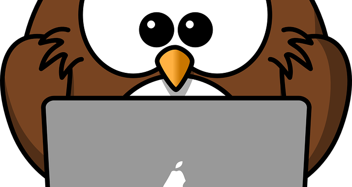 Struggling With Building Your Website - Cartoon Owl Shower Curtain (715x380)