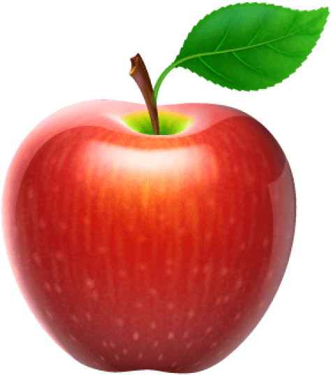 Vector Free Download Apple Png Free Images - Apple Fruit Png - (480x543)  Png Clipart Download