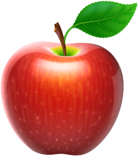 Vector Free Download Apple Png Free Images - Apple Fruit Png (480x543)