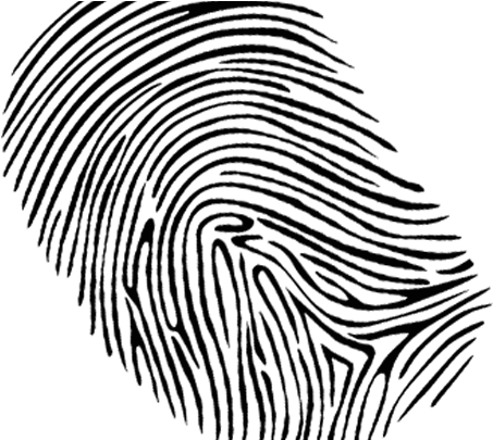 Pnp Hall Of Famer - Drawing (575x404)