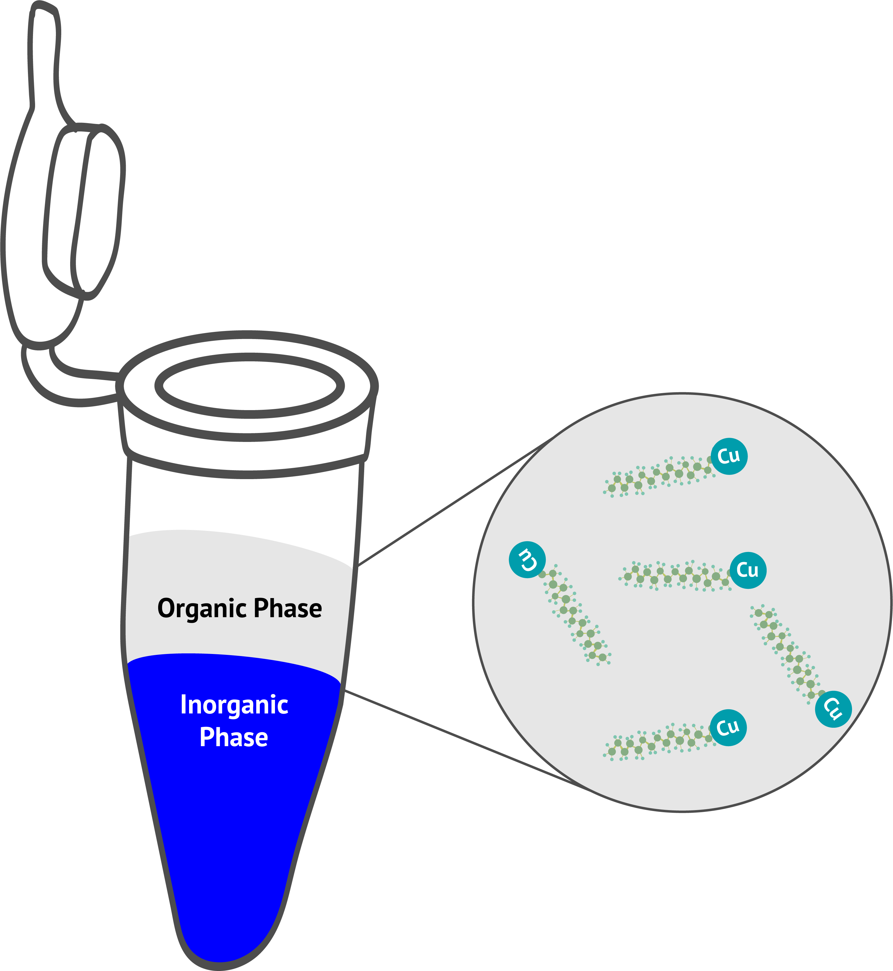Cupric Acetate Doodle - Diagram (3004x3265)