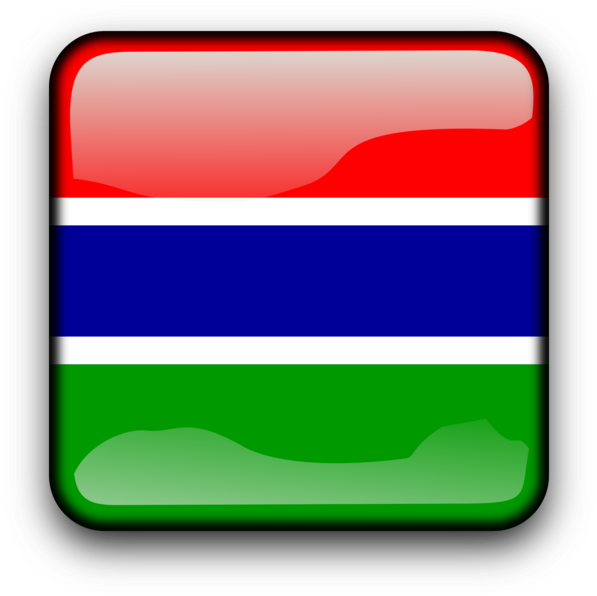 Flag Of The Gambia National Flag Computer Icons - Flag (750x750)