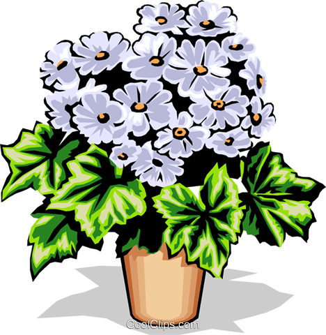 Potted Flower Royalty Free Vector Clip Art Illustration - Potted Flower Royalty Free Vector Clip Art Illustration (468x480)