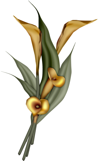 Laminas Y Trabajos Con Flores - Happy Birthday Graphics (438x674)