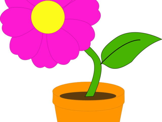 Flowerpots Clipart Potted Flower - Flower In A Pot (640x480)