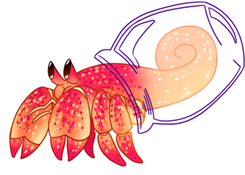 Hermit Crab Sticker Set - Hermit Crab Sticker Set (400x400)