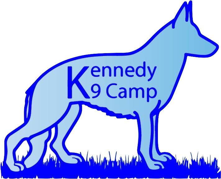 33f6d494 09d7 11e9 9c3f 0242ac110002 16ba8118 0352 - Kennedy K9 Camp (1120x640)