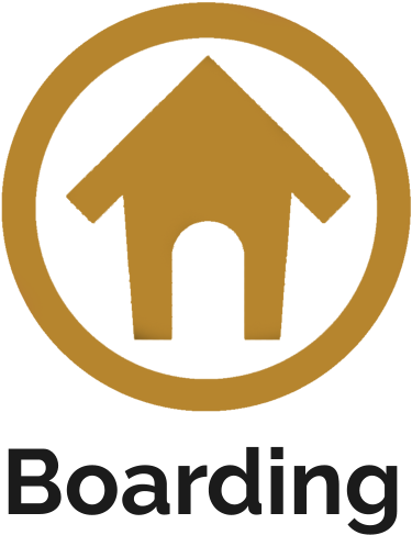 Northern Building Plastics (382x492)