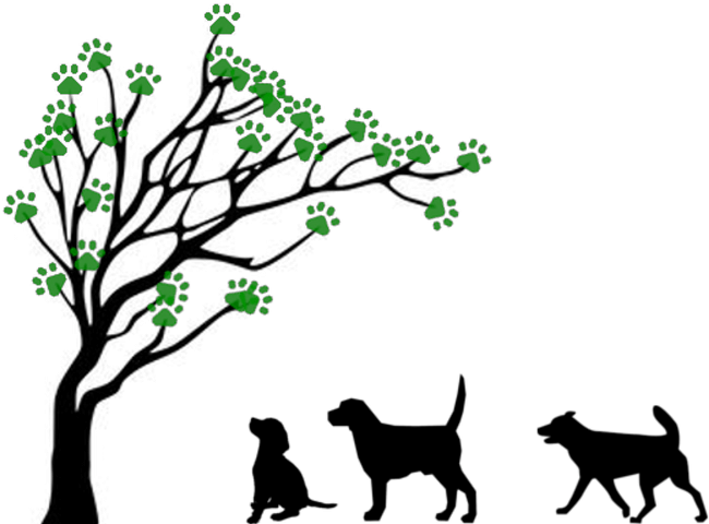 Paws Wander Inn Logo - Tree Drawing No Leaves (800x500)
