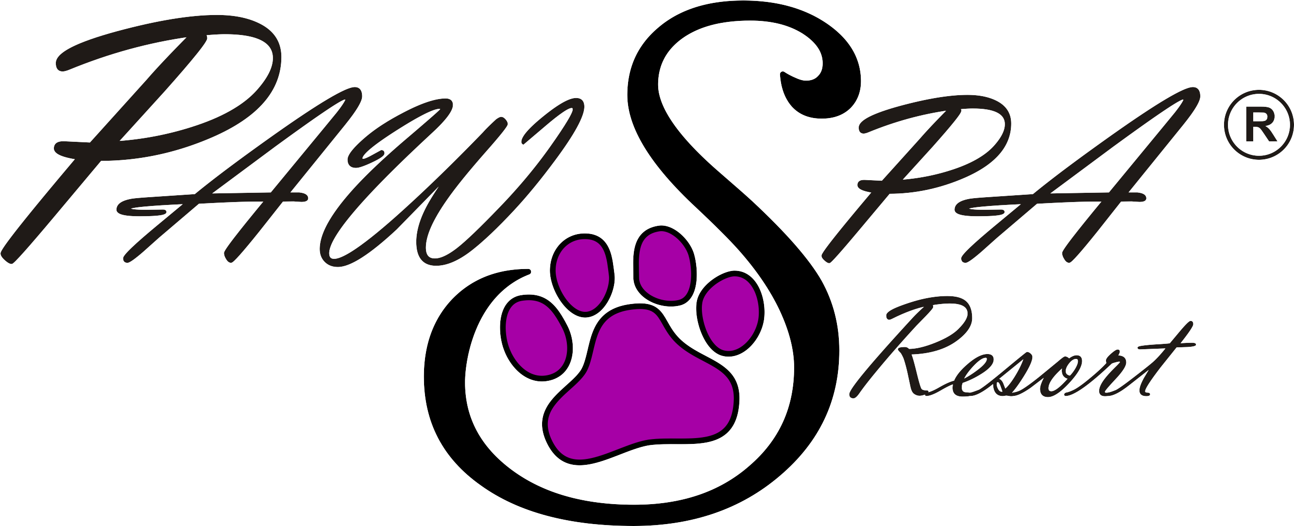 Dog Boarding / Cat Boarding - Paw Spa (2747x1082)