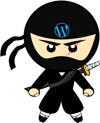 The Wordpress Ninja Media Display Options Page - Little Ninja (432x421)