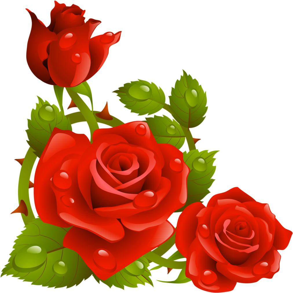 Фото, Автор K - Rose Flowers Wallpaper 3d (1024x1024)