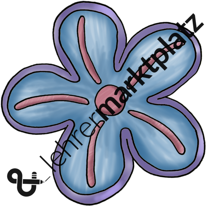 ‹ › - Cut Flowers (867x800)