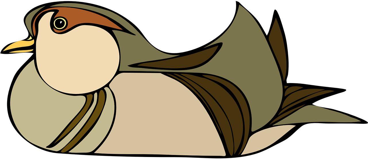 Bird, Brown, Feather, Animal, Nesting - Bird (1280x640)