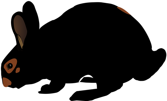 Kaninchen, Schwarz, Ostern, Putzig, Süß - กา ร็ ตู น กระต่าย (561x340)