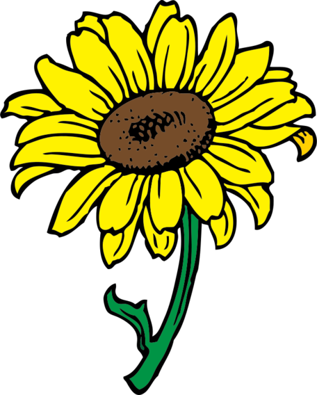 Sonnenblume Schwarz Weiß Clipart - Sunflower Clipart (602x750)