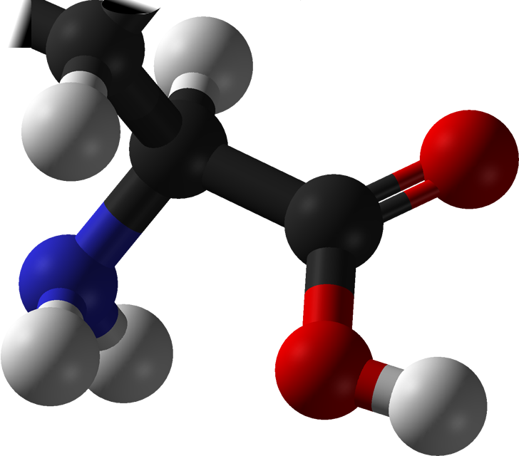 Amino Acids - Amino Acids (728x640)