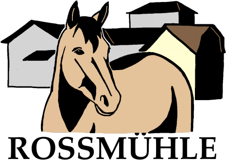 Karin Hufschmid - Stallion (600x450)