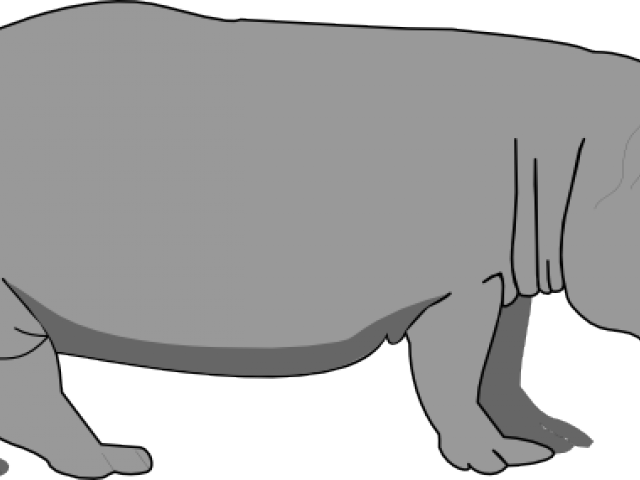 Hippopotamus Cliparts - Hippopotamus Cliparts (640x480)