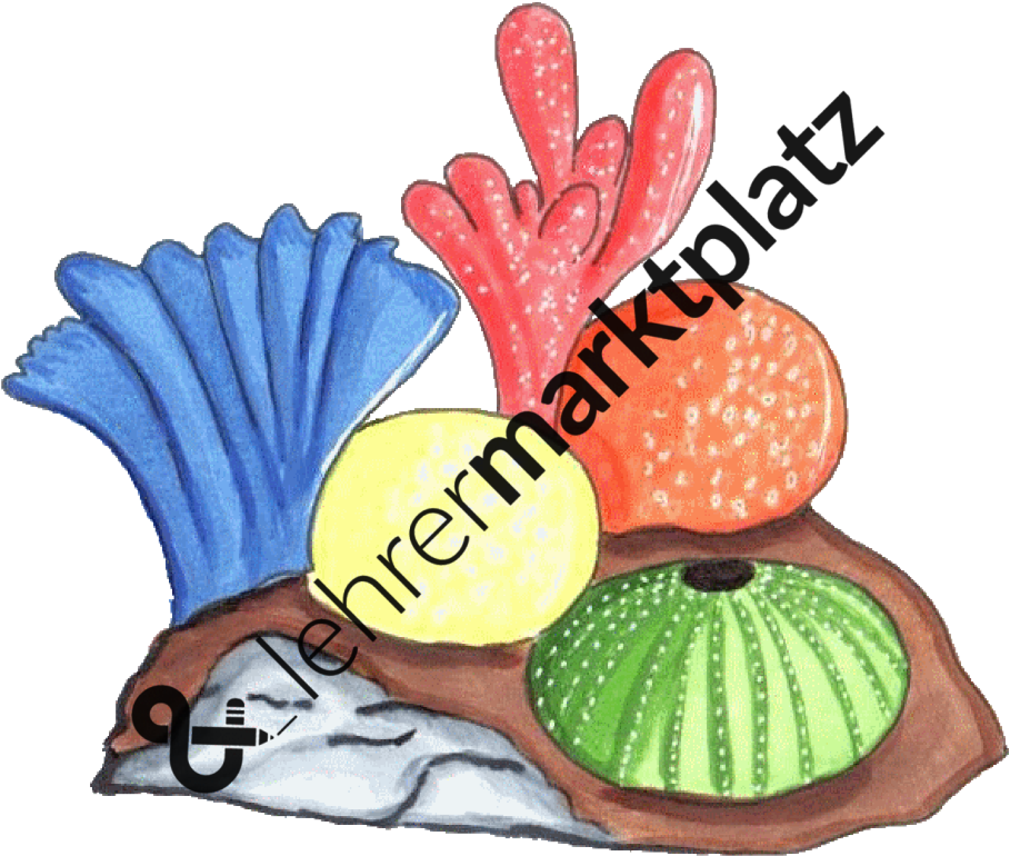 ‹ › - Beet (945x800)