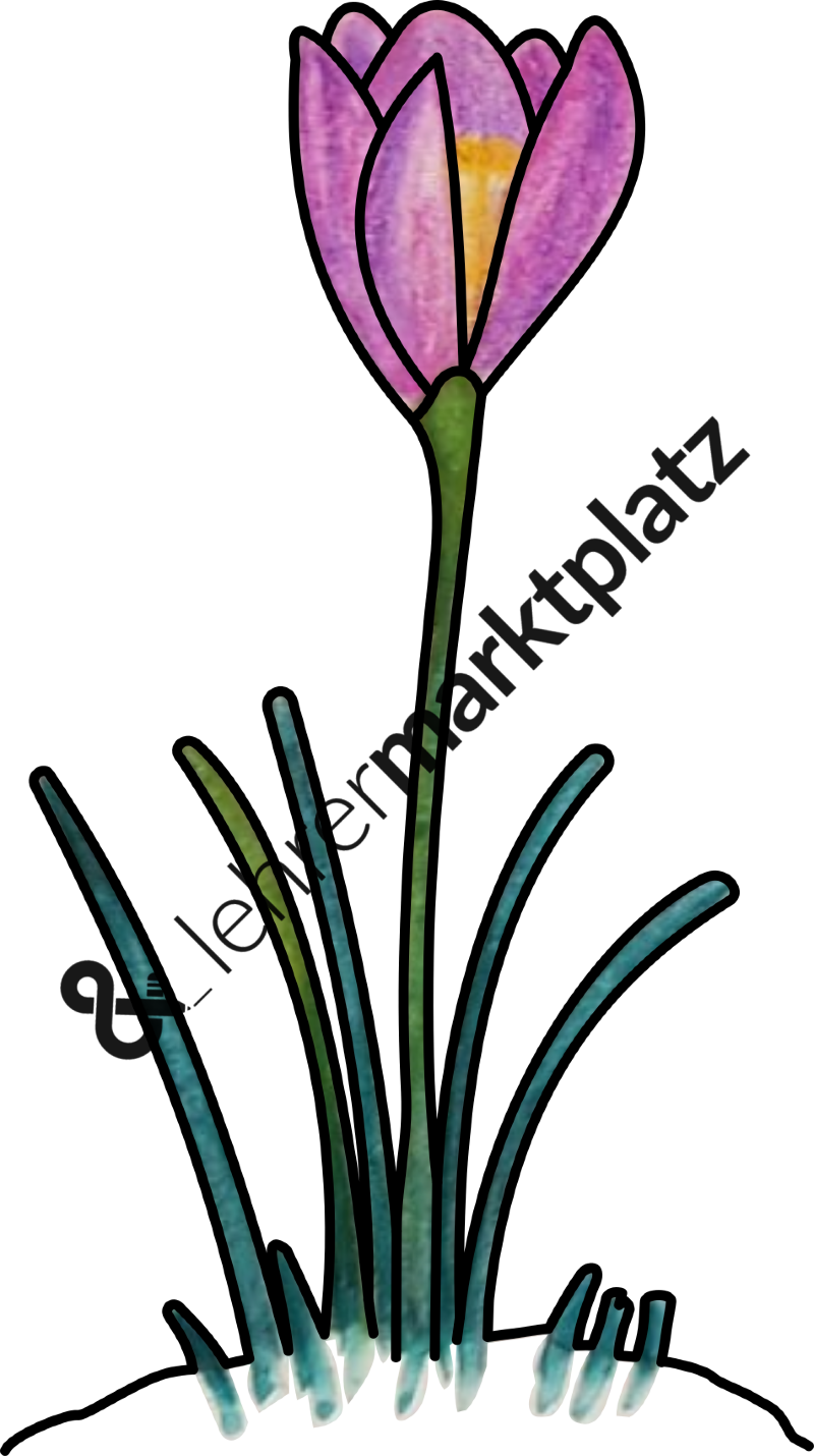 ‹ › - English Grammar (800x1430)