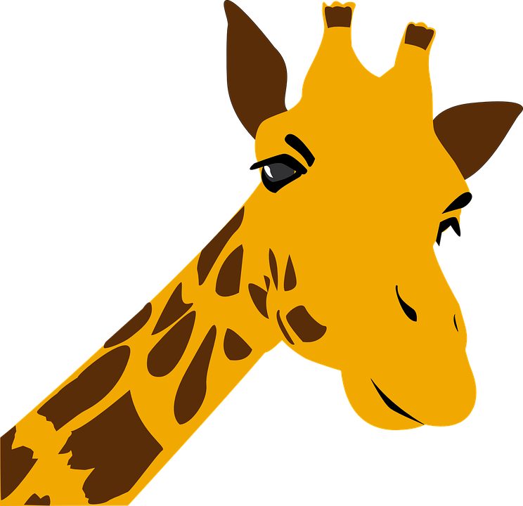 Ein Hauch Von Afrika Liegt In Der Luft - Giraffes Coloring Book For Adults [book] (1658x1604)