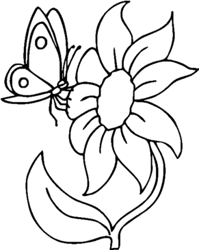 Malvorlagen Schmetterling Und Raupe Zum Drucken - Flower Coloring Pages (290x420)