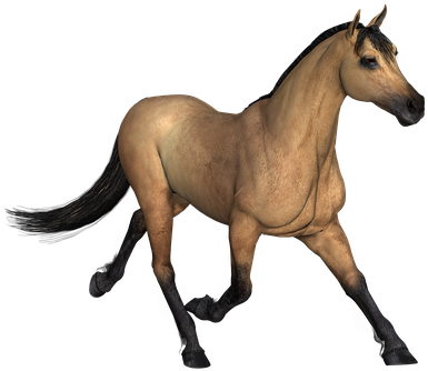 Pferd Brown Tier Pferdesport 3d Bauernhof - Les Animaux Png (453x340)