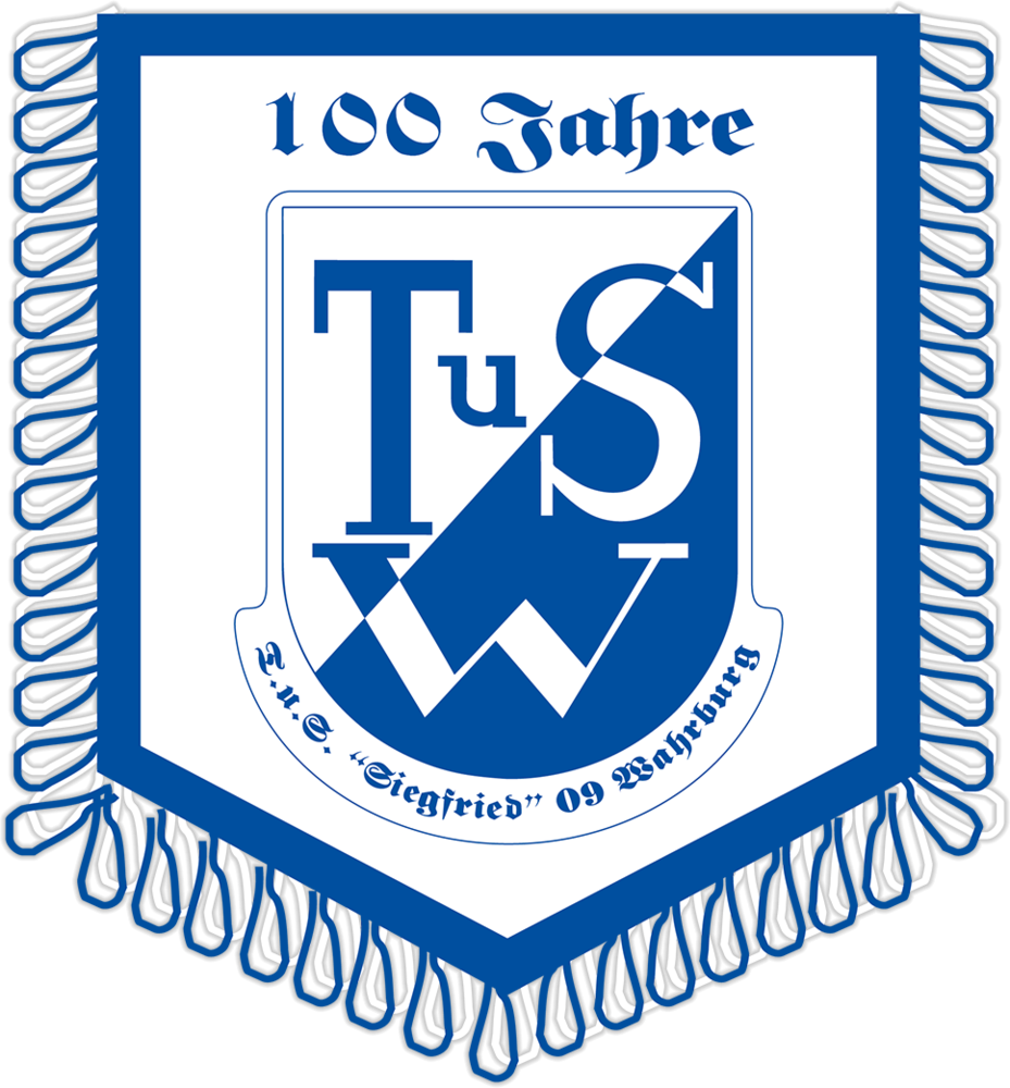 Minibanner Pvc - Polyvinyl Chloride (929x1000)