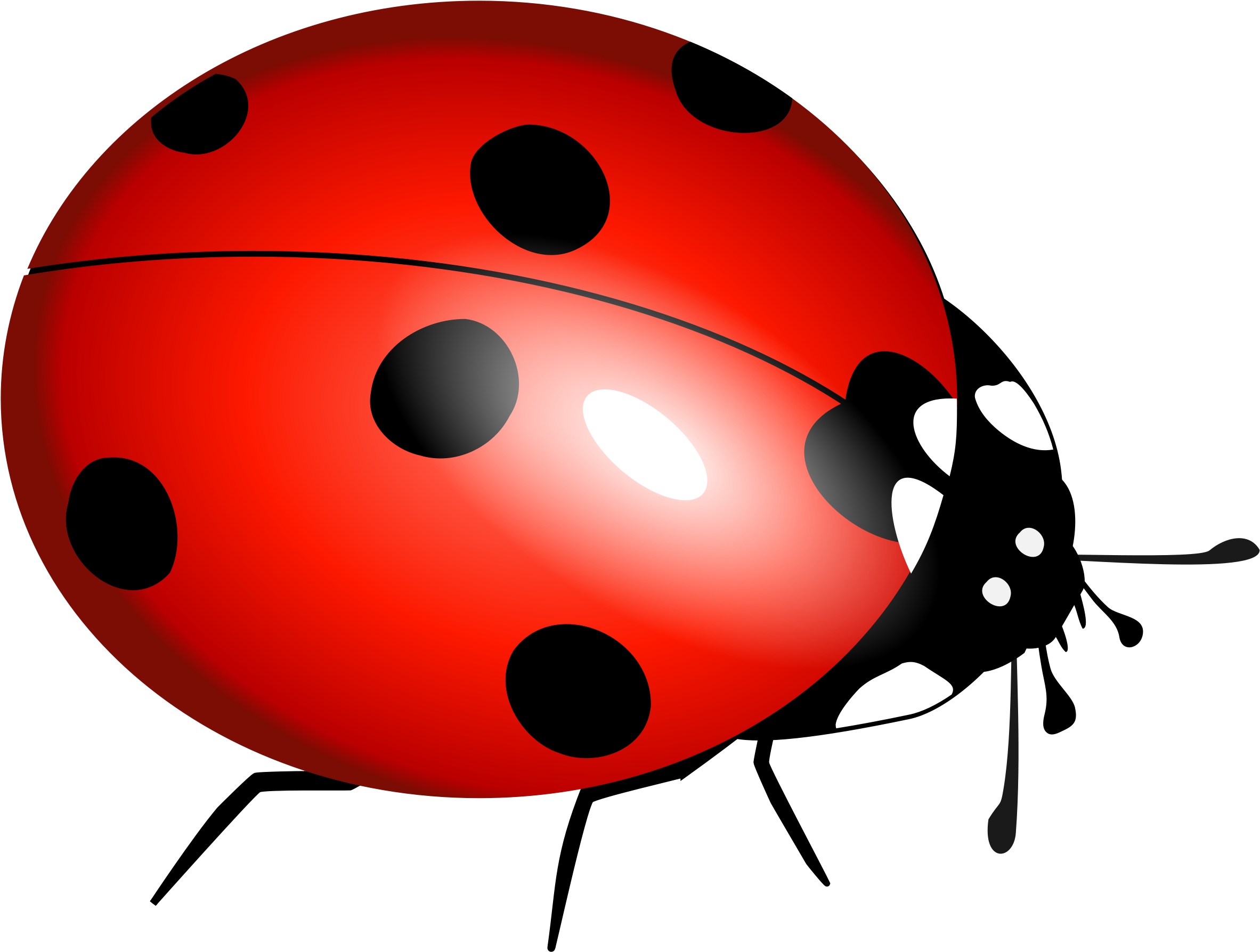 Ladybug Flying Clipart Clipart Panda - Lady Bug Clip Art (2400x1882)
